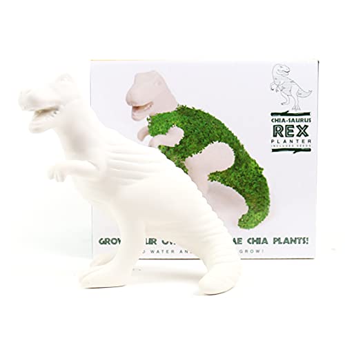 Gift Republic Dinosaur Shaped Chia Planter. Desktop Sprouting Chia Animal. Fun Grow Kit - Chiasaurus Rex - size: Dinosaur