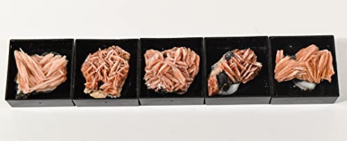 HQRP 1PC Orange Barite Baryte Blades w/Inclusions Crystal Cluster in Box Natural Sparkling Collectible Gemstone Crystal Mineral Rough Specimen - Morocco - color: Baryte