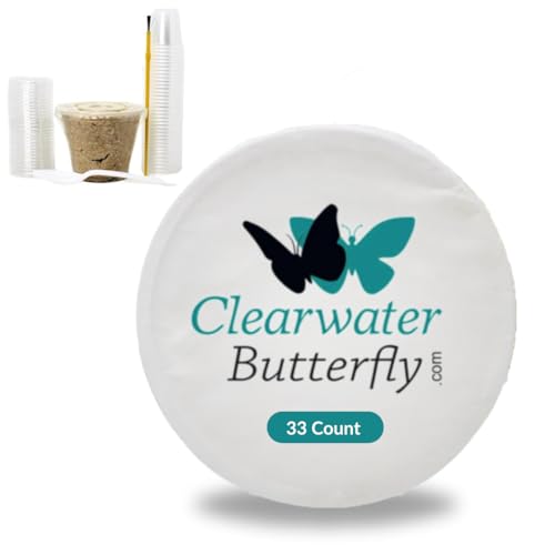 33 Live Painted Lady Caterpillars to Butterflies, Classroom Learning Kit