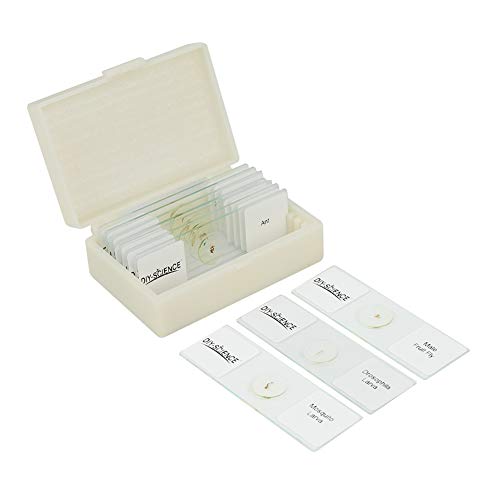 Prepared Whole Insects Microscope Slides Set, 10pcs Specimens for Kids Students Biology Class, Educational Gift (Whole Insects) - style: Whole Insects