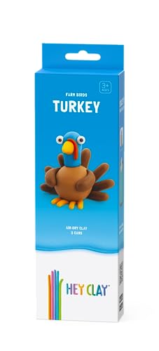 HEY CLAY Modeling Air-Dry Clay Kit for Kids Creative Gift Age 3+ (3 cans) - color: Turkey