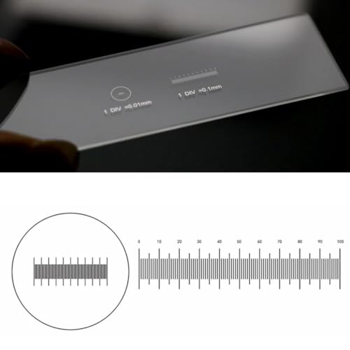 2 Scales DIV 0.01mm Microscope Reticle Division of the Graticule Calibrate Micrometer Microscope Accessory Calibration Slide