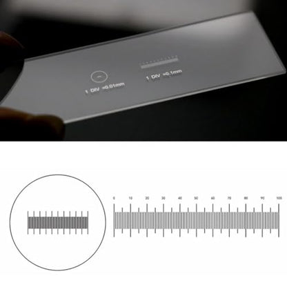 2 Scales DIV 0.01mm Microscope Reticle Division of the Graticule Calibrate Micrometer Microscope Accessory Calibration Slide
