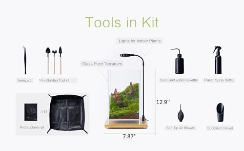 27 PCS Glass Plant Terrarium Kit with LED Grow Light– DIY Moss Terrarium Kit for Adults, Mini Garden Set for Succulent, Real Live Moss, and Air Plants – Home Office Decoration & Unique Gift fo Friend - size: Tall Cube Set