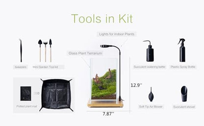 27 PCS Glass Plant Terrarium Kit with LED Grow Light– DIY Moss Terrarium Kit for Adults, Mini Garden Set for Succulent, Real Live Moss, and Air Plants – Home Office Decoration & Unique Gift fo Friend - size: Tall Cube Set