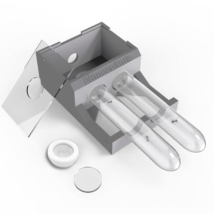 Transparent Mini Ant Farm with Dual Test Tubes for Thriving Ant Colony Observation (Gray) - color: Gray