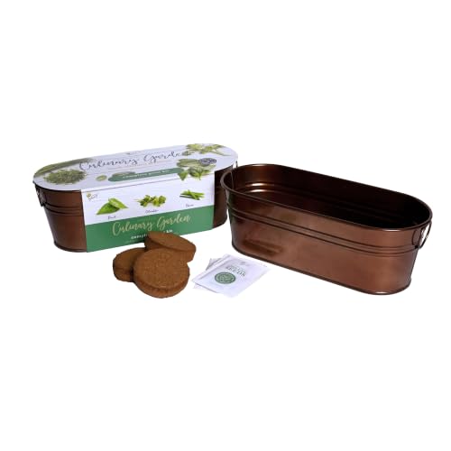 Buzzy Seeds Windowsill Herb Kit, Metal Planter, Basil Cilantro & Chives - color: Copper