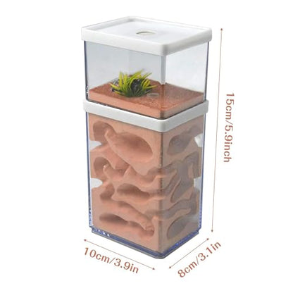 2-Tier Plaster Ant Farm Formicarium Transparent Ant Nest Habitat