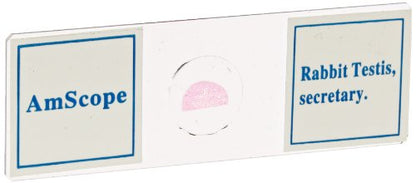 AmScope PS50A Prepared Microscope Slide Set, Biology & Pathology - style: Set