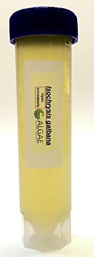 Algae Research Supply Algae Culture Isochrysis Galbana, Perfect for School Science Fairs/Projects, Experiments & Classrooms (50mL) - color: Isochrysis galbana, size: 50 mL