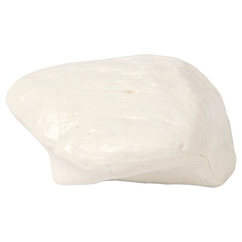Axis Scientific Patella Bone Model, Left