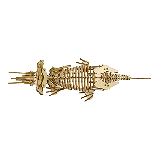 Triceratops Wooden Dinosaur 3D Puzzle - Fun DIY Wood Craft Kits - Ideal Gift for Birthdays and Party Favors - style: Triceratops