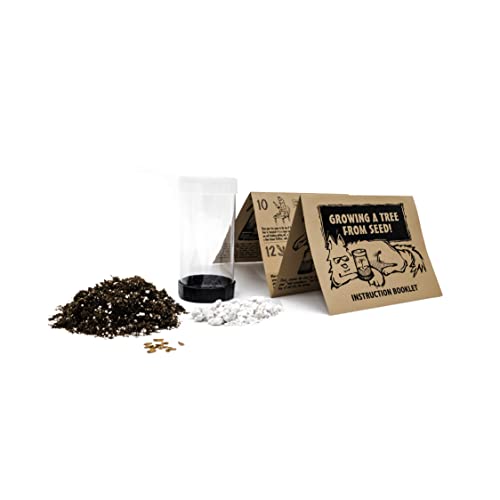 The Jonsteen Company Living Christmas Tree | Seed Grow Kit