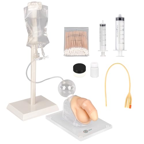 Male Urethral Catheterization Simulator, Urinary Catheter Anatomy Model for Medical Students Or Nurses, Catheterization Model