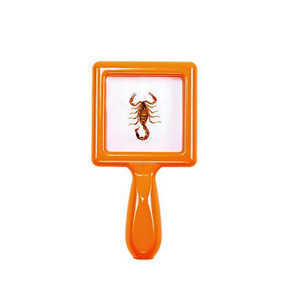 Environments Toddler Specimen Viewers Set of 4 (Item # SPECISEE)
