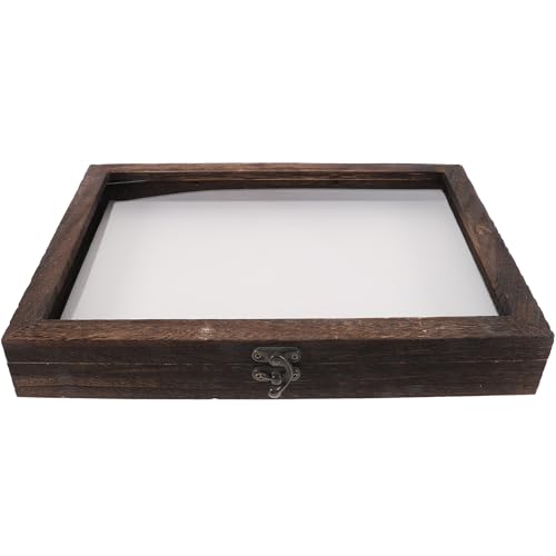 Cabilock Insect Display Case Clear Top Specimen Storage Box with Mat 12.20X8.66X1.85in Bug Collection Box for Butterfly Collections Desktop Display and Small Item Storage