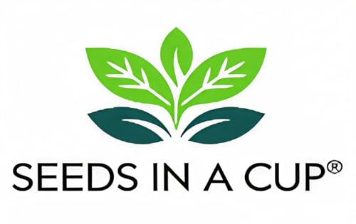 Seeds In A Cup- Tree Growing Kit (Pomegrante)- Plastic Planter - style: Pomegrante