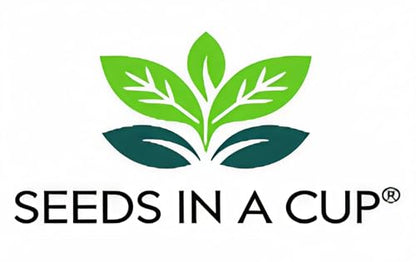 Seeds In A Cup- Tree Growing Kit (Pomegrante)- Plastic Planter - style: Pomegrante