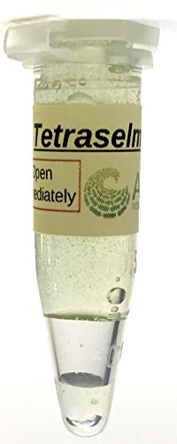 Algae Research Supply Algae Culture Tetraselmis Chuii, Perfect for School Science Fairs/Projects, Experiments & Classrooms (1.7mL) - color: Tetraselmis chuii, size: 1.7 mL