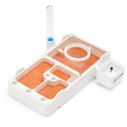 StackCore Stackable Series - White Habitat-(Flat Ant Nest) with Starter Tool Kit - size: White Habitat
