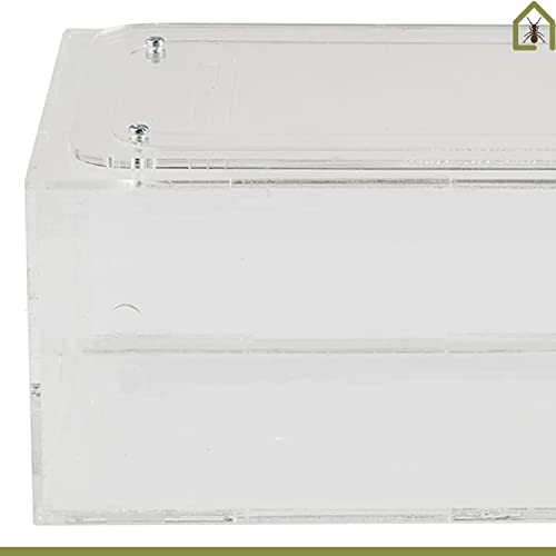AntHouse - Natural Sand Ant Farm | Acrylic Big Starter Kit | Educative Ant Hill | 11.81 x 5.91 x 3.94 in