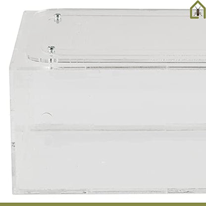 AntHouse - Natural Sand Ant Farm | Acrylic Big Starter Kit | Educative Ant Hill | 11.81 x 5.91 x 3.94 in