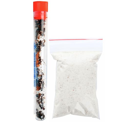 25 Live Ants for Ant Farms (1 Tube) with 10 oz Ant Farm Sand Refill - style: 25 Live Ants+Sand