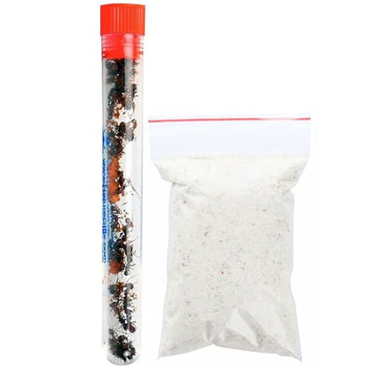 25 Live Ants for Ant Farms (1 Tube) with 10 oz Ant Farm Sand Refill - style: 25 Live Ants+Sand