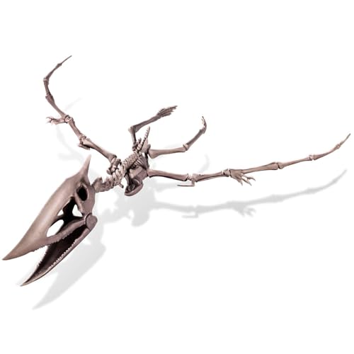 4M Dig a Pteranodon Skeleton Kit for Kids Ages 8-12 – Flying Reptile Fossil Excavation Set with 15 Realistic Bones, STEM Paleontologist Digging Kit with Hammer, Chisel & Brush, Educational Gift