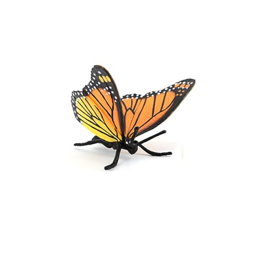 Butterfly Growth Cycle, Animal Growth Cycle Biological Model, Growth Stage Lifelike Butterfly Life Cycle Model Set for Kids Education Insect Themed Party Favors - style: Butterfly
