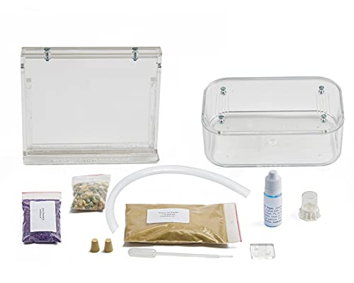 AntHouse - Natural Sand Ant Hill- Basic Kit | Sandwich (4.72 x 3.94 x 0.39 in) + Forage Box (7.09x 3.94 x 1.97 in) | Ant Farm - color: Clear