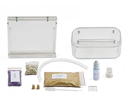 AntHouse - Natural Sand Ant Hill- Basic Kit | Sandwich (4.72 x 3.94 x 0.39 in) + Forage Box (7.09x 3.94 x 1.97 in) | Ant Farm - color: Clear