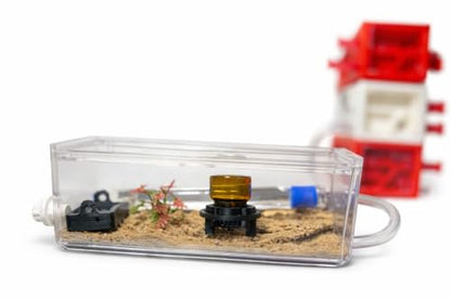 Desktop Ant Farm(White) - color: White