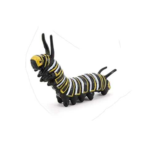 Butterfly Growth Cycle, Animal Growth Cycle Biological Model, Growth Stage Lifelike Butterfly Life Cycle Model Set for Kids Education Insect Themed Party Favors - style: Butterfly