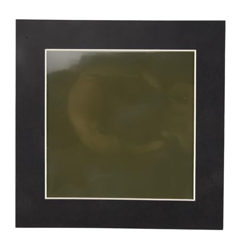 4 x 4Inch Magnetic Field Viewing Film,Magnetic Field Viewer,Magnetic Flux Display,Magnet Pattern Detector,for Scientific