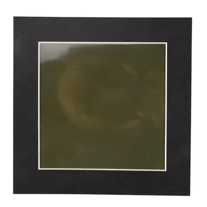 4 x 4Inch Magnetic Field Viewing Film,Magnetic Field Viewer,Magnetic Flux Display,Magnet Pattern Detector,for Scientific