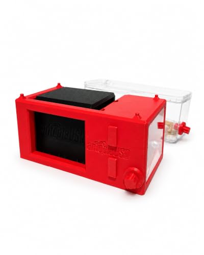 Desktop Ant Farm (red) - color: red