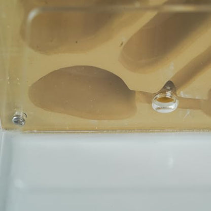 Cave Tower Plaster Ant Farm with Outworld and 10 mm Ports