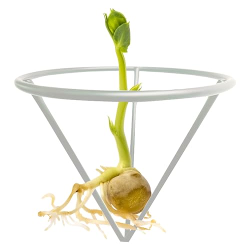 Avocado Growing Bracket Triangular Plant Root Germination Holder - color: Silver