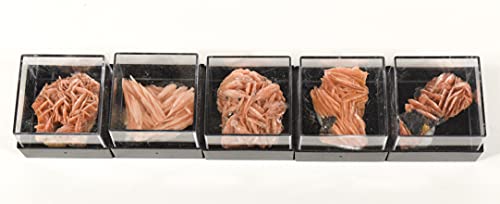 HQRP 1PC Orange Barite Baryte Blades w/Inclusions Crystal Cluster in Box Natural Sparkling Collectible Gemstone Crystal Mineral Rough Specimen - Morocco - color: Baryte