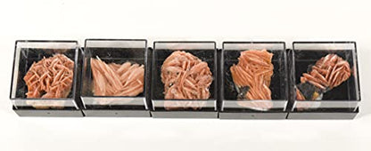 HQRP 1PC Orange Barite Baryte Blades w/Inclusions Crystal Cluster in Box Natural Sparkling Collectible Gemstone Crystal Mineral Rough Specimen - Morocco - color: Baryte