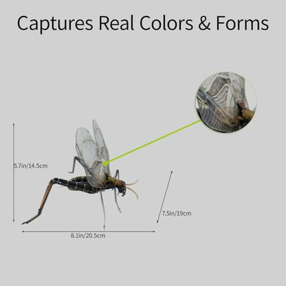 3D Acrylic Insect Puzzle DIY Bug Model Kit Animal STEM Gift - color: Bell Cricket