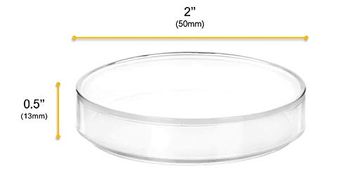 EISCO Plastic Petri Dish with Lid - 2" Diameter, 0.5" Depth - Molded in Polypropylene - Reusable - Translucent