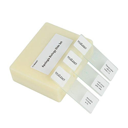 Prepared Microscope Slides Set for Apologia Biology, Pack of 16pcs Specimens Specifically for Biology Course (Apologia Slides) - style: for Apologia Biology Microscope Slides