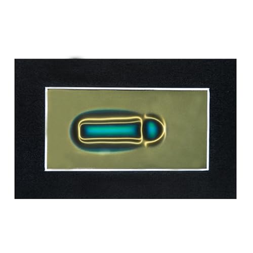 2 x 4 Inch Magnetic Field Viewing Film, Magnetic Field Viewer, Magnetic Flux Display, Magnet Pattern Detector, Scientific Project Teaching, Automatic and Reusable Recovery - size: 2" x 4"