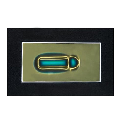2 x 4 Inch Magnetic Field Viewing Film, Magnetic Field Viewer, Magnetic Flux Display, Magnet Pattern Detector, Scientific Project Teaching, Automatic and Reusable Recovery - size: 2" x 4"
