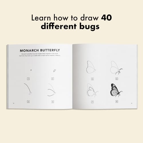 Bugs: How to Draw Books for Kids with Butterflies, Ladybugs, Spiders, and More (How to Draw For Kids Series)