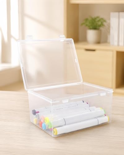 LJY 38 Clear Plastic Boxes, 2 Sizes for Hardware