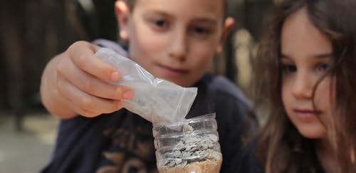 The Famous Crazy Scientist Lab - Young Survivor, Science Kits from The Lab - Survival Skill Box. Kids Science Kits. STEM Educational Games for Kids, Young Survivor Skills, 191 - style: Young Survivor Skills