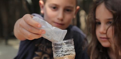 The Famous Crazy Scientist Lab - Young Survivor, Science Kits from The Lab - Survival Skill Box. Kids Science Kits. STEM Educational Games for Kids, Young Survivor Skills, 191 - style: Young Survivor Skills
